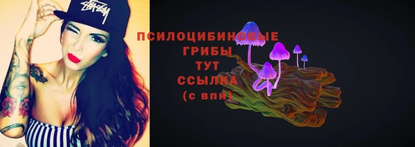 хмурый Пестово