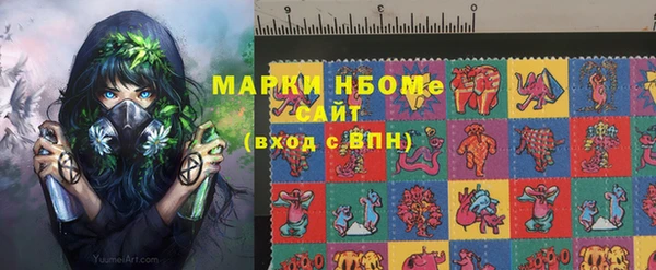 хмурый Пестово