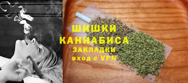 шишки Осташков