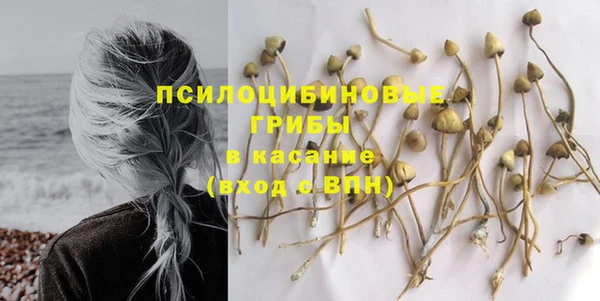 сатива Видное