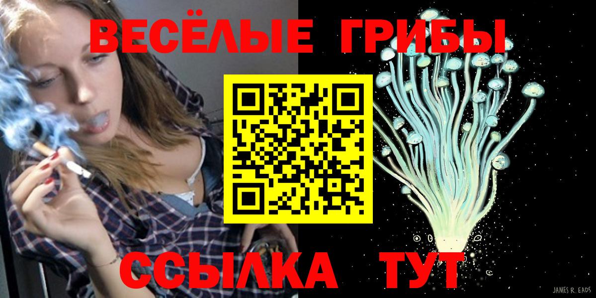 Псилоцибиновые грибы Psilocybe  Вход с VPN  Уварово  Галлюциногенные грибы Psilocybine cubensis 